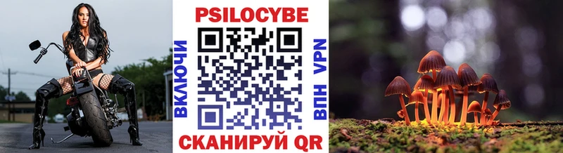 Галлюциногенные грибы Cubensis  МЕГА ссылки  Белинский 